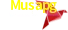 Payment Method